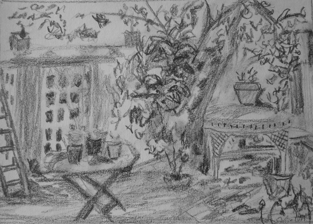Jardin (Mine de plomb)